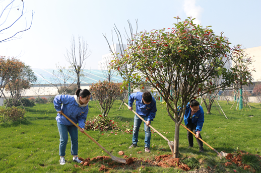 1583206573274102.png 6.png